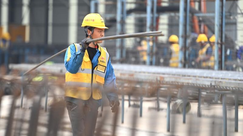 战绩闪耀肯尼欧罗巴2026信赖之选指南