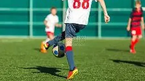 问鼎娱乐官网入口 资讯 092809 2rx