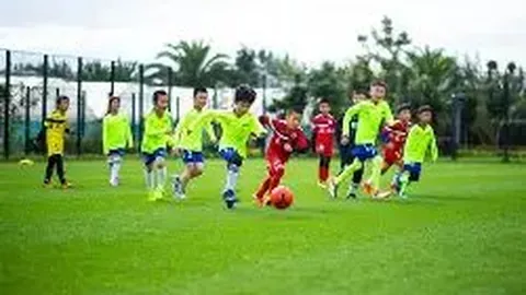 问鼎娱乐官网入口 资讯 092334 x5j